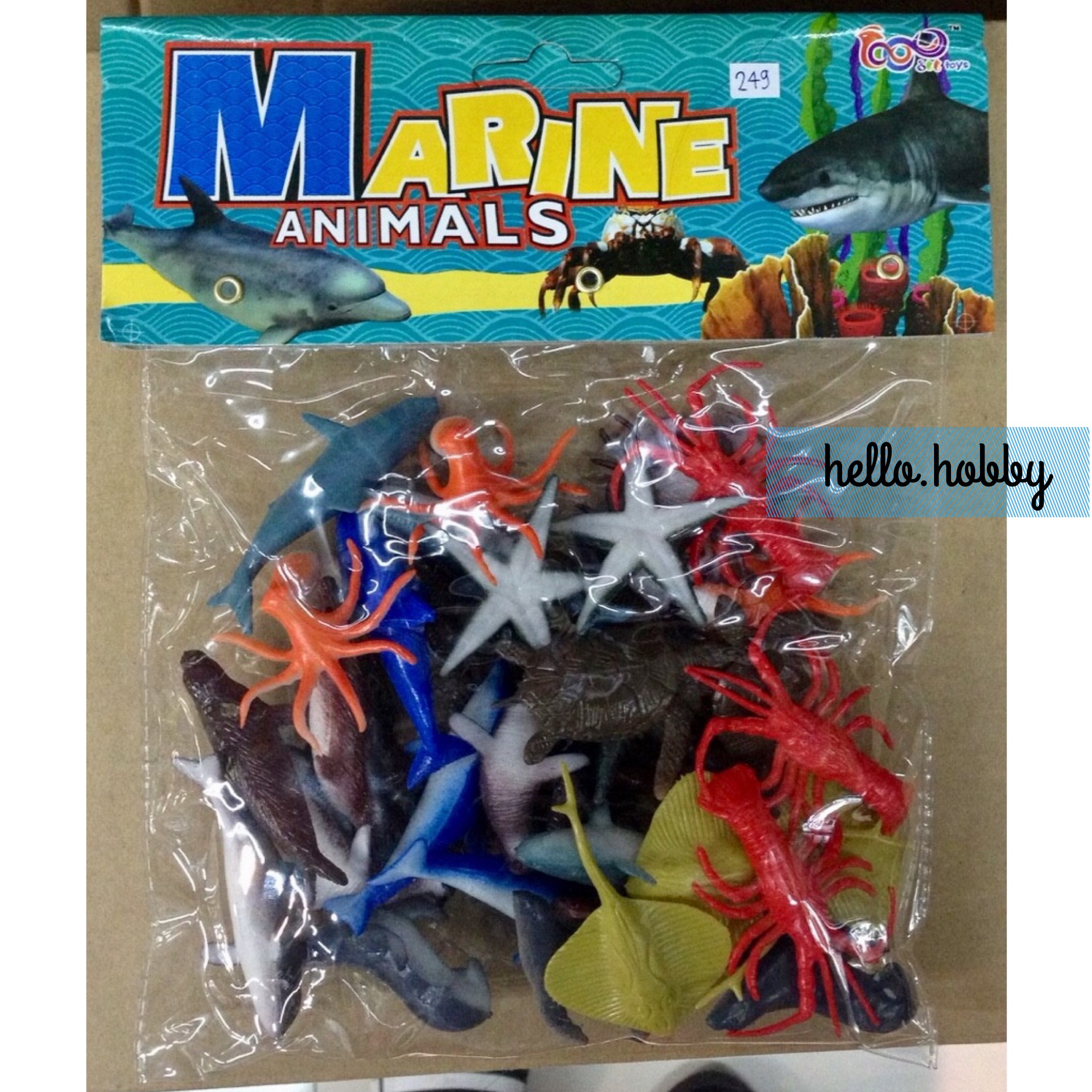 ชุดสัตว์น้ำ Marine Animals