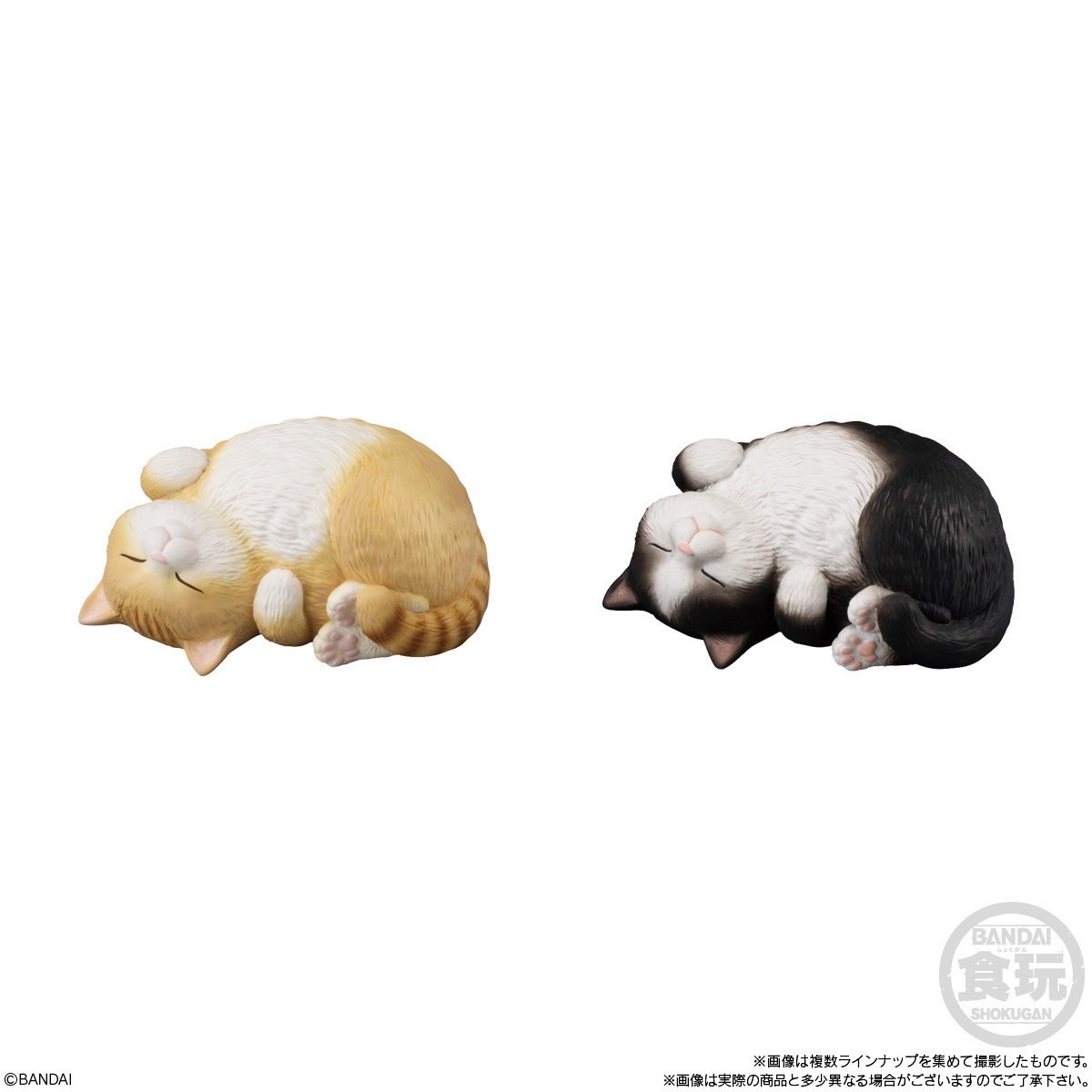 โมเดลแมวพุงนิ่มลิขสิทธิ์แท้ Mocchiri Kororin Cat by Bandai