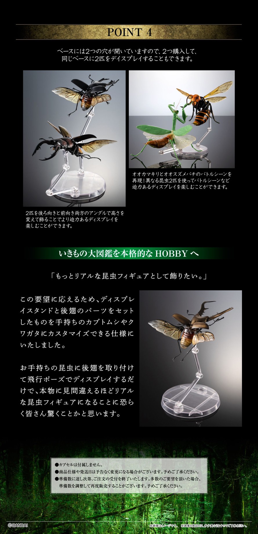 PRE-ORDER : Display Stand for Beetles and Stag Beetles Set for Exclusive Use of Ikimono Encyclopedia