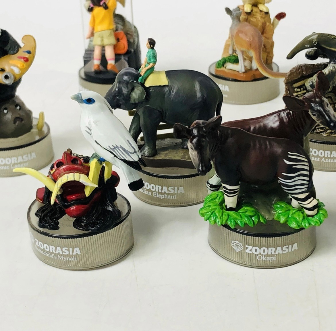 งานฝา กาชาปอง Yokohama Zoo Zoorasia Lunch Jungle Cracker Bottle Cap Trading Figure Collection by Kaiyodo (Set of 9)
