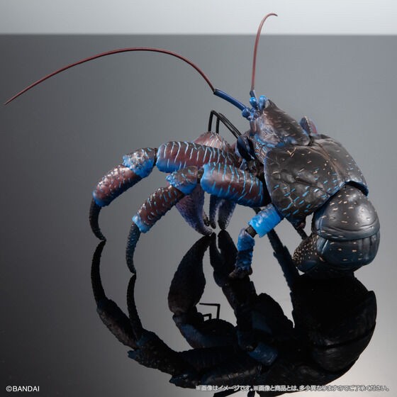 PRE-ORDER : Ikimono Encyclopedia Premium Coconut Crab