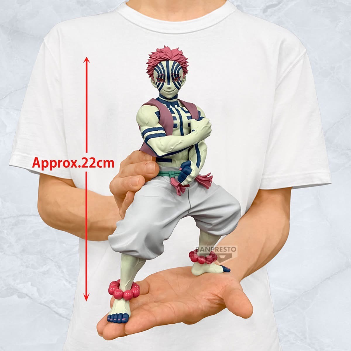 Pre-order : DEMON SLAYER: KIMETSU NO YAIBA 03/2025