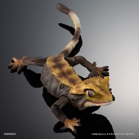 PRE-ORDER : Ikimono Encyclopedia Advance Crested Gecko (Random)