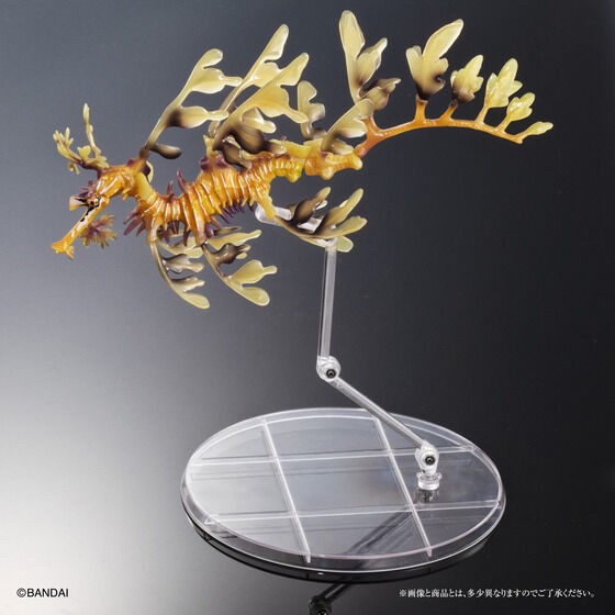PRE-ORDER : Ikimono Encyclopedia Premium Leafy seadragon