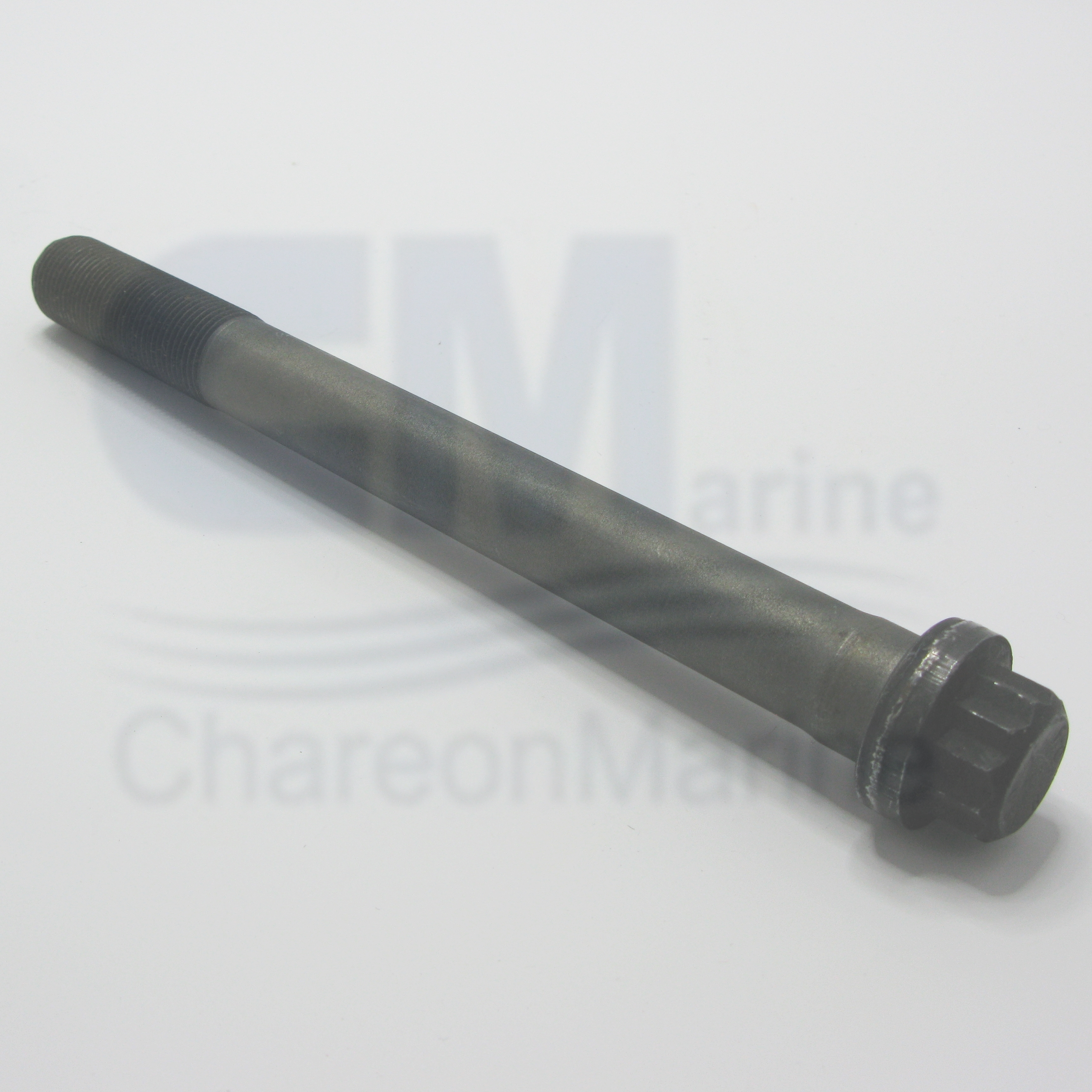 3032633 SCREW,TWELVE POINT CAP
