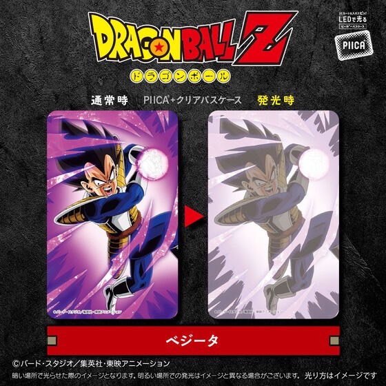 PRE-ORDER : DRAGON BALL Z PIICA+ Clear Pass Case (10 types)