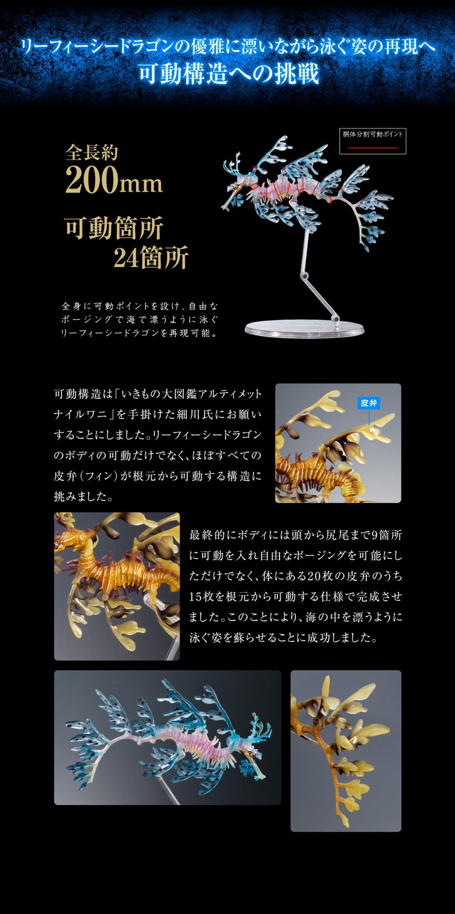 PRE-ORDER : Ikimono Encyclopedia Premium Leafy seadragon