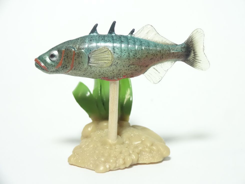 กาชาปอง Freshwater Fish Collection vol. 1 Gashapon (Set of 13) by Yujin