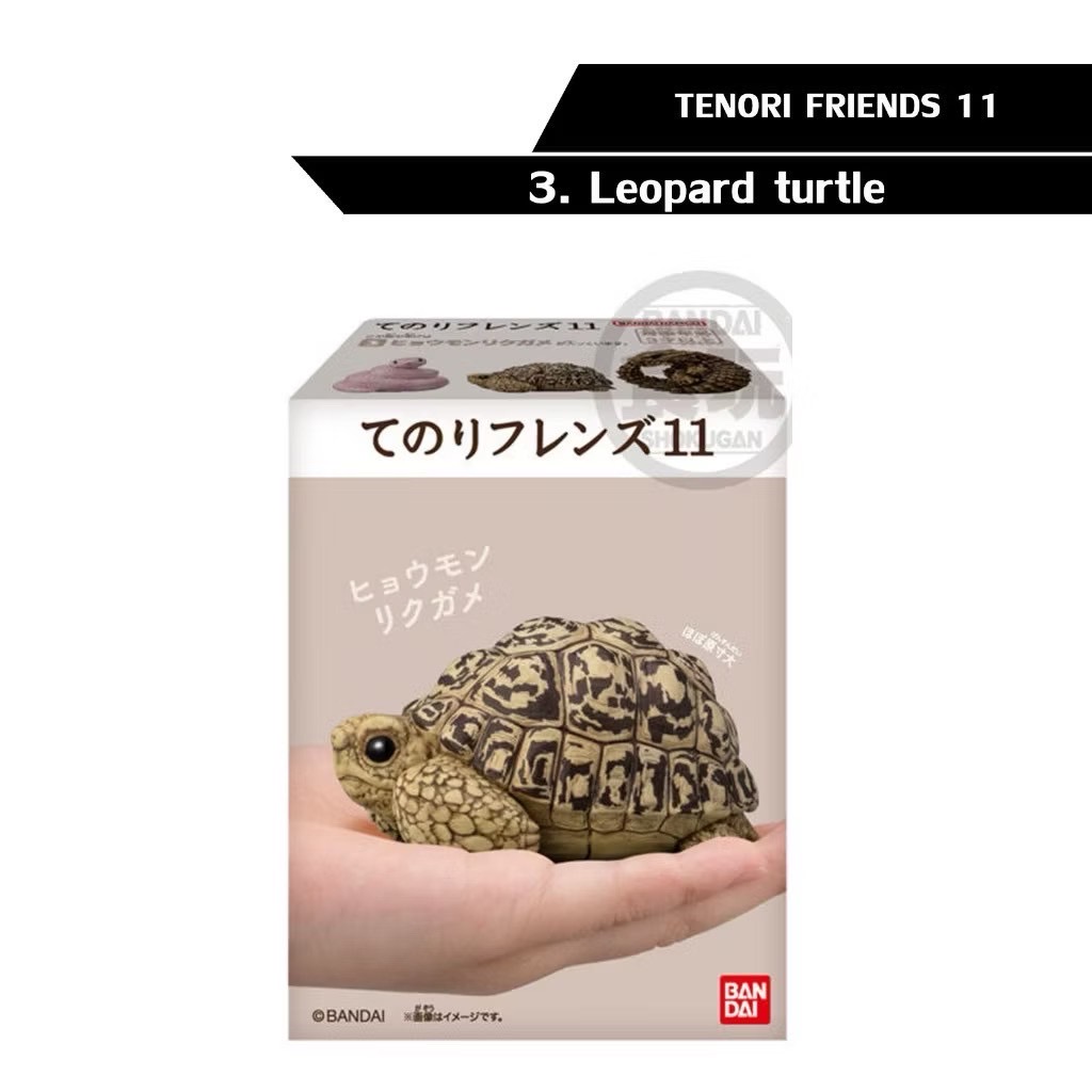 โมเดล สัตว์น่ารัก Tenori Friends 11 Reptiles & Amphibians by Bandai