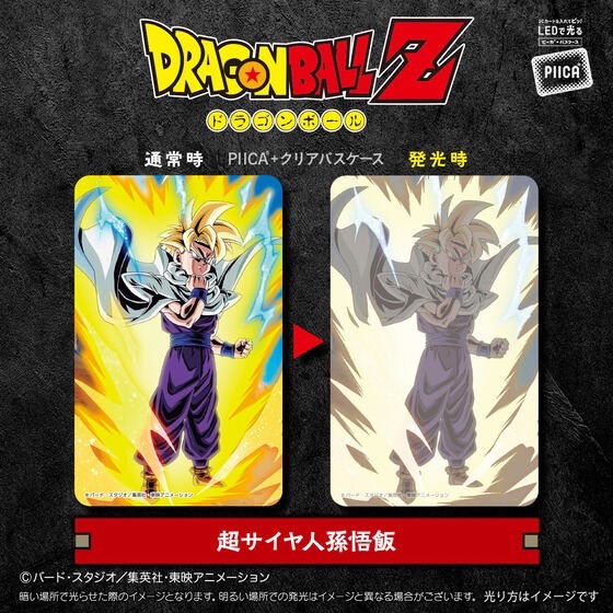 PRE-ORDER : DRAGON BALL Z PIICA+ Clear Pass Case (10 types)