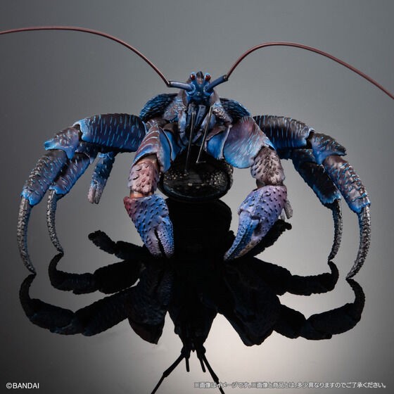 PRE-ORDER : Ikimono Encyclopedia Premium Coconut Crab