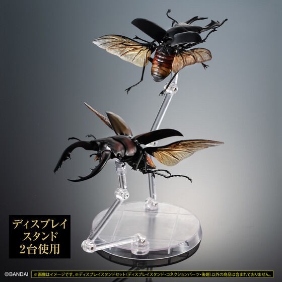 PRE-ORDER : Display Stand for Beetles and Stag Beetles Set for Exclusive Use of Ikimono Encyclopedia
