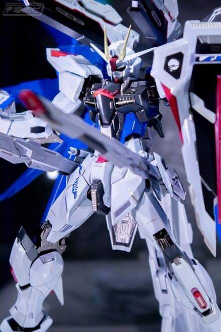 Metal Build Freedom Gundam Concept 2 by Bandai