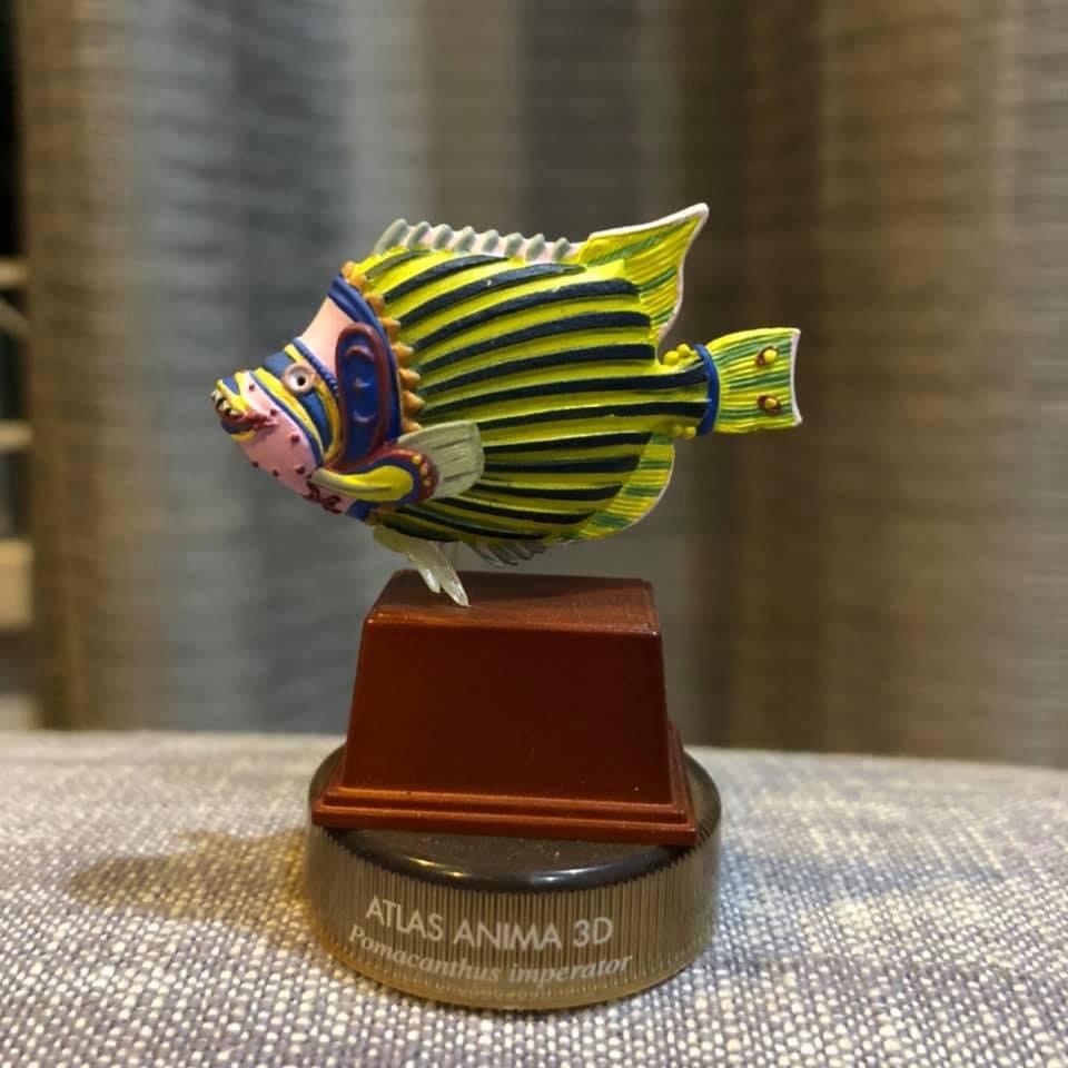 งานฝา สัตว์น้ำ New Enoshima Aquarium World Museum ATLAS ANIMA 3D Bottle Cap Collection (Set of 8) by Kaiyodo
