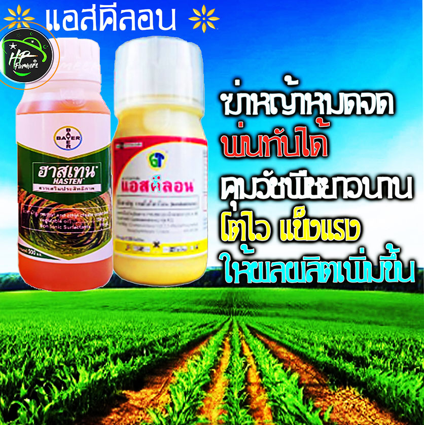 แอสคีลอน 6R (Aschilon®): สารกำจัดวัชพืชที่มีประสิทธิภาพสูงสุดสำหรับไร่ข้าวโพดและอ้อยของคุณ! ✅ **ควบคุมวัชพืชได้ตรงจุด**: ✅ **ปลอดภัยต่อข้าวโพด**: ไม่ทำให้ข้าวโพดเสียหาย ✅ **สะอาดยาวนาน**: ✅ **ผลผลิตเพิ่มขึ้น**: ข้าวโพดเติบโต