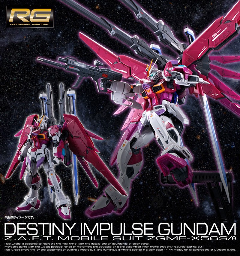 PRE-ORDER : RG 1/144 Destiny Impulse Gundam Plastic Model