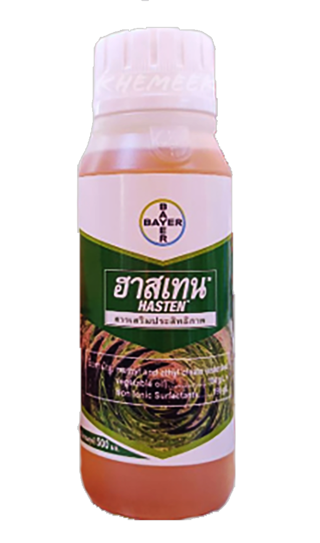 แอสคีลอน 6R (Aschilon®): สารกำจัดวัชพืชที่มีประสิทธิภาพสูงสุดสำหรับไร่ข้าวโพดและอ้อยของคุณ! ✅ **ควบคุมวัชพืชได้ตรงจุด**: ✅ **ปลอดภัยต่อข้าวโพด**: ไม่ทำให้ข้าวโพดเสียหาย ✅ **สะอาดยาวนาน**: ✅ **ผลผลิตเพิ่มขึ้น**: ข้าวโพดเติบโต