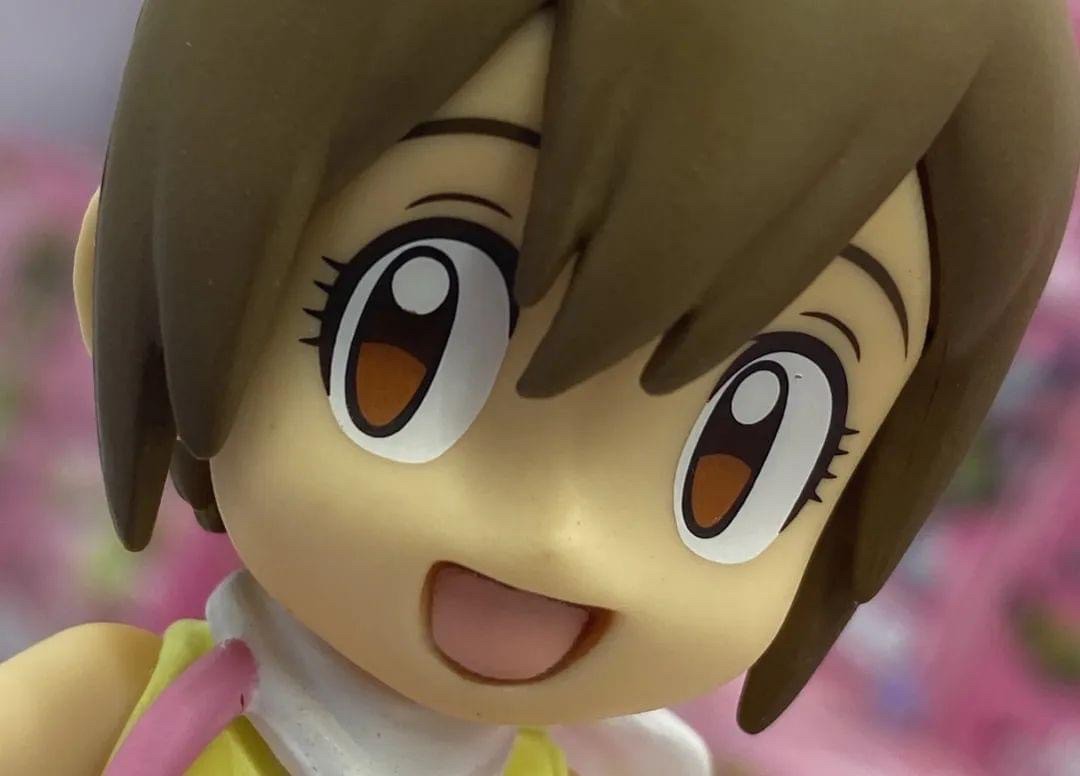 Digimon Adventure DXF ~Adventure Archives~ HIKARI & TAILMON (OVERSEA LIMITED ITEM)