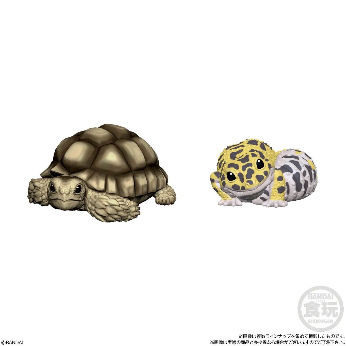 Tenori Friends 8 Reptiles & Amphibians