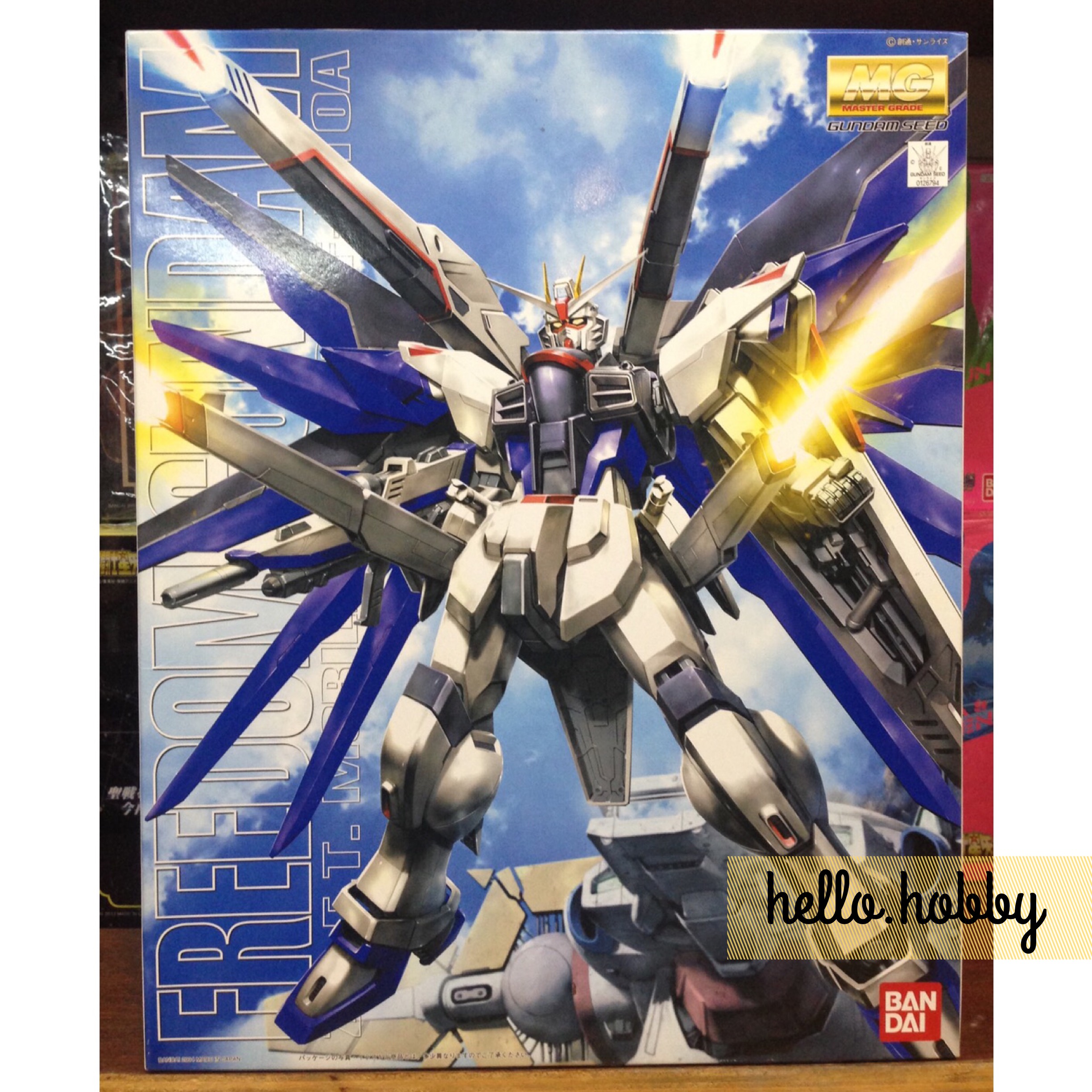 MG 1/100 ZGMF-X10A Freedom Gundam by Bandai