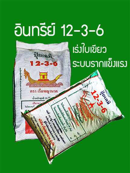อินทรีย์12-3-6(25กก.):สูตรเพิ่มน้ำยาง บำรุงต้นแข็งเเรง ใบเขียวหนา รากแข็งเเรงดูดซึมธาตุอาหารเพิ่มขึ้น สังเคราะห์เเสงสะสมอาหารเร็ว ส่วนประกอบสำคัญ OM.10-15%, เเร่ธาตุอาหาร N12%-P3%-K6%, มูลค้างคาว อะมิโน-ฮิวมิก และไตรโครเดอมาร์ ควบคุมโรครากเน่าโคนเน่า