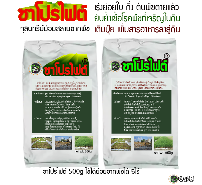 ซาโปรไฟต์[Saprophyte 500g.]จุลินทรีย์นักย่อยสลายซากพืช ต้นกิ่งใบให้เป็นปุ๋ยในพริบตา ย่อยซากพืชหลังเก็บเกี่ยว ตอซัง ฟาง เม็ดข้าวดีดข้าวเด้ง คืนปุ๋ย C NPK TE สู่ดิน ยับยั้งเชื้อโรคอันตรายปกป้องพืชปลอดภัย ปรับโครงสร้างดินดีขึ้น รากเเข็งเเรง ลดมลภาวะทางอากาศP