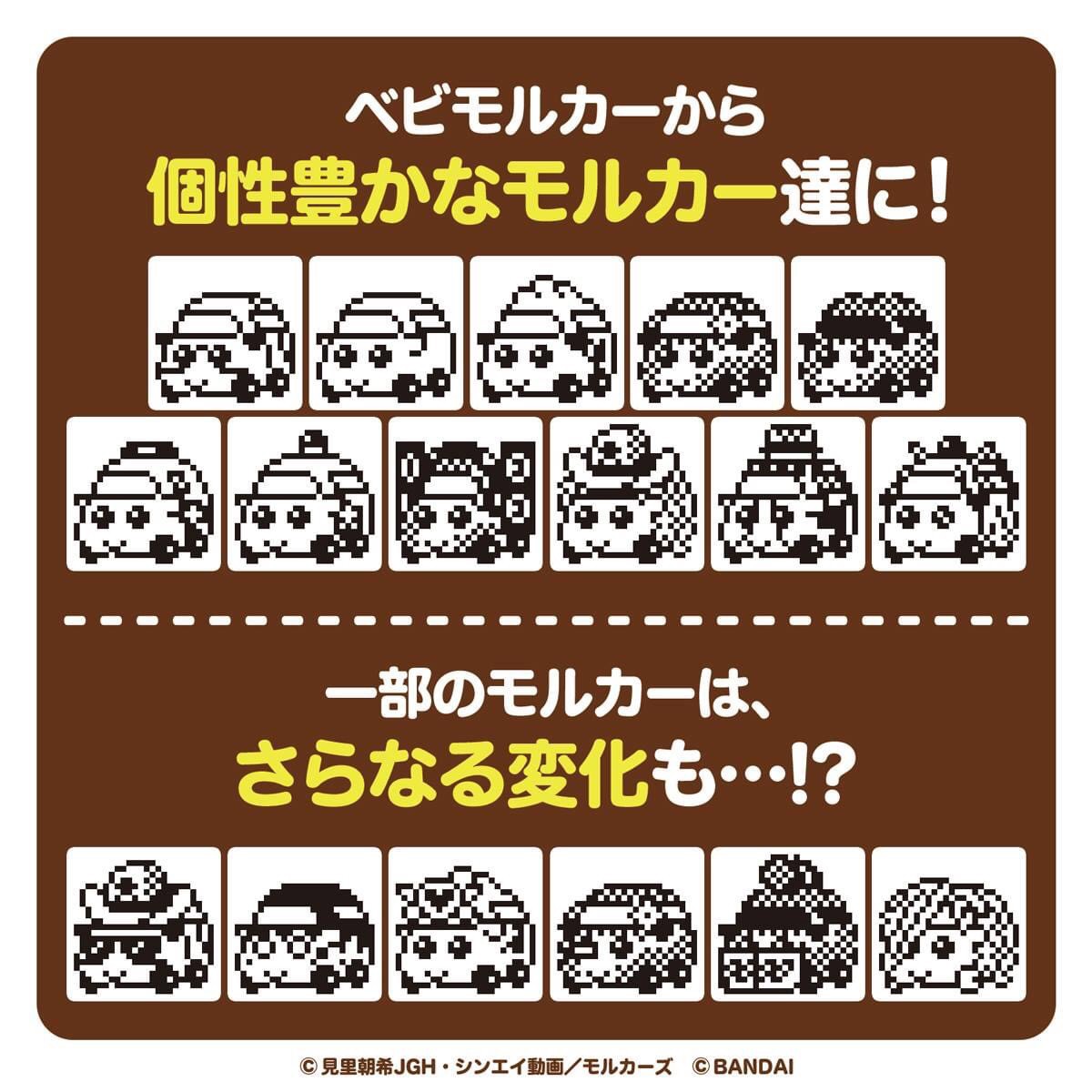 Pre-order : PUI PUI MOLCATCHI ORANGE COLOR / CREAM COLOR