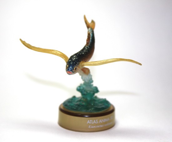 งานฝา สัตว์น้ำ New Enoshima Aquarium World Museum ATLAS ANIMA 3D Bottle Cap Collection (Set of 8) by Kaiyodo