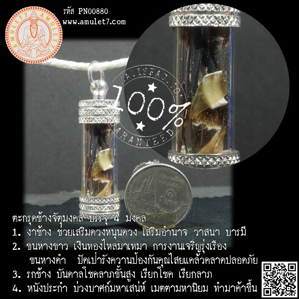ตะกรุดจัตุมงคล งาช้าง ขนหางช้างขาว ขนหางช้างดำ รกช้าง หนังประกำช้าง
