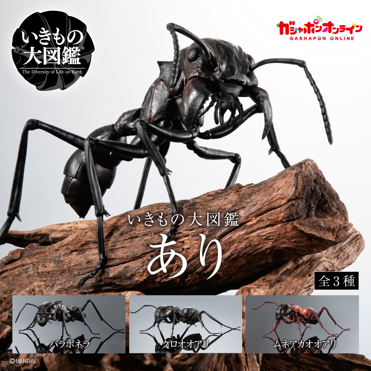 $ Ikimono Encyclopedia Ant 01