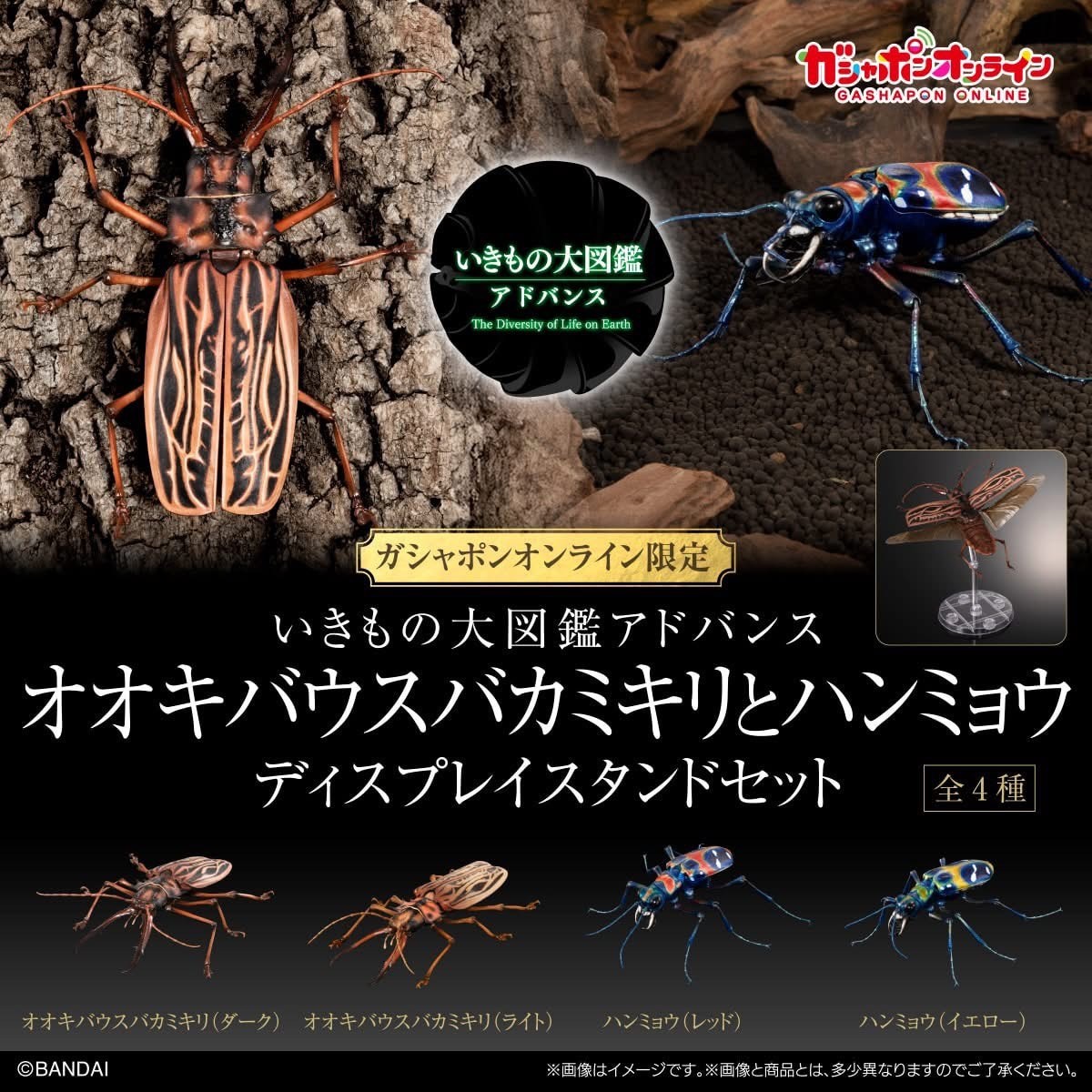 Pre-order : The Diversity of Life on Earth Advance Sabertooth Longhorn Beetle & Tiger Beetle Exclusive Display Stand Set