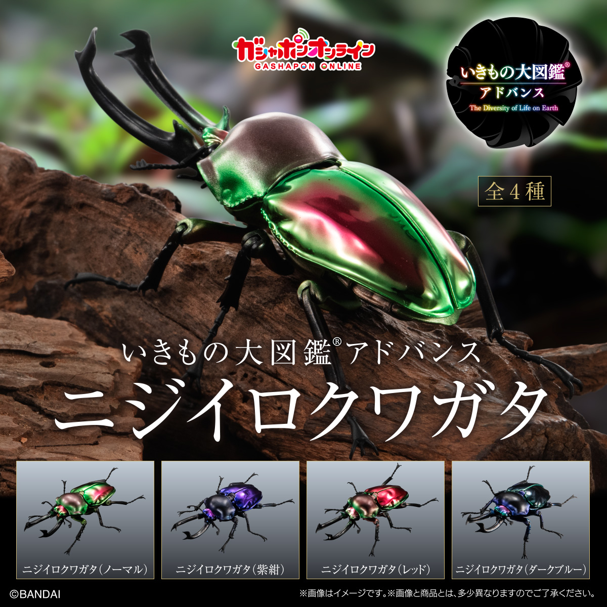$ Ikimono Encyclopedia Advance Rainbow Stag Beetle 01