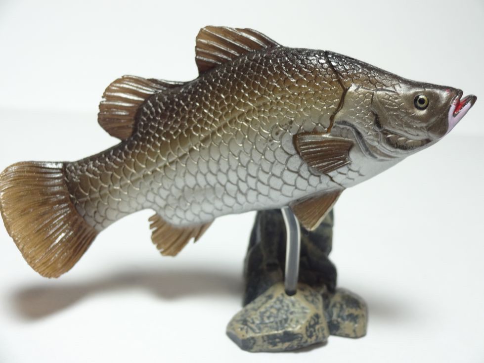 กาชาปอง Freshwater Fish Collection vol. 1 Gashapon (Set of 13) by Yujin