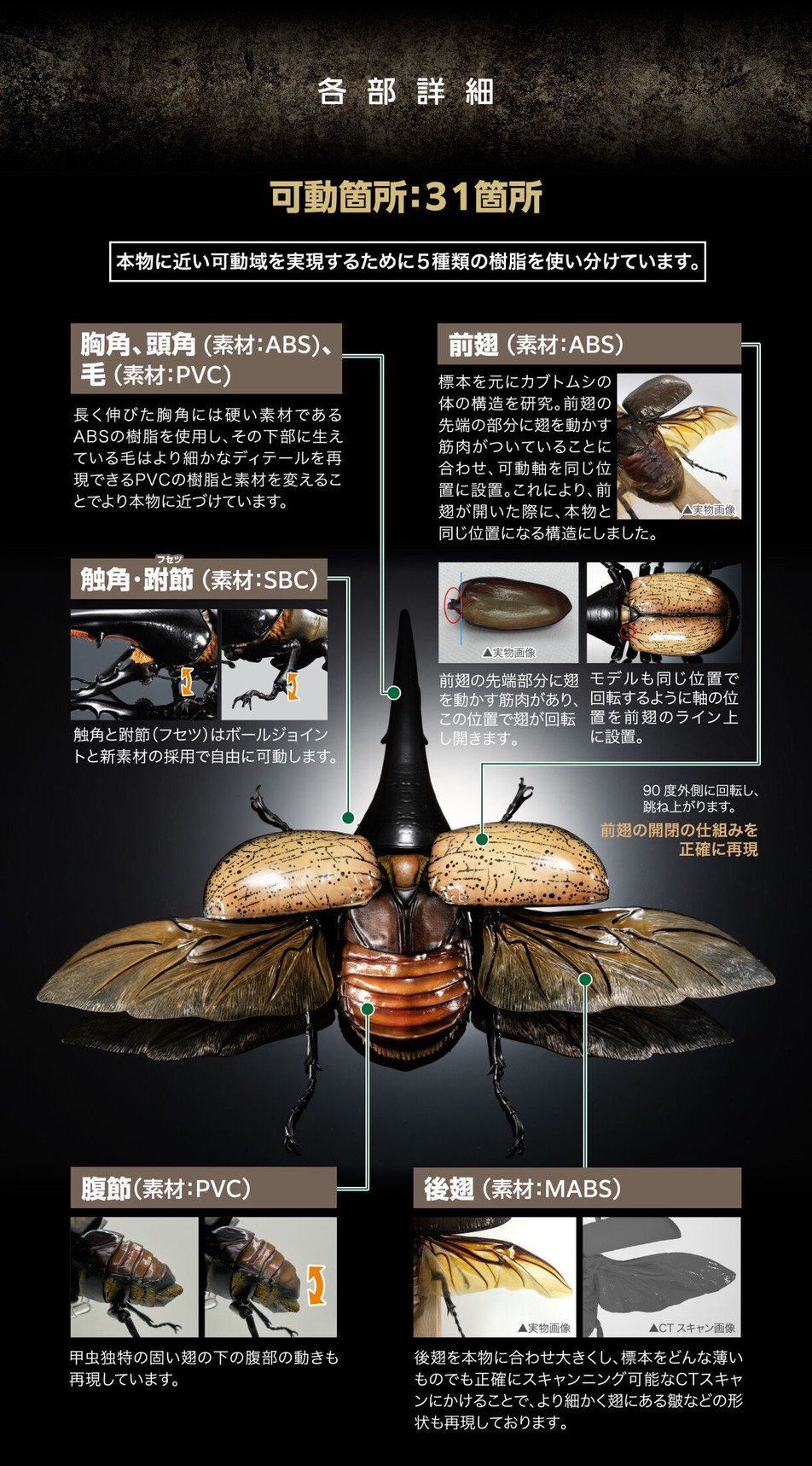 PRE-ORDER : Ikimono Encyclopedia Premium Hercules Beetle (Dynastes hercules)