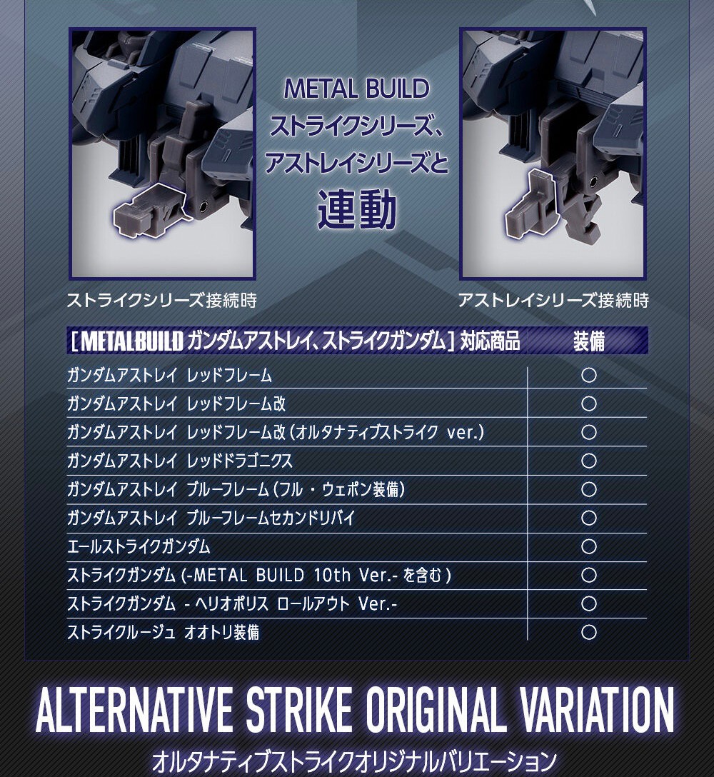 PRE-ORDER : METAL BUILD I.W.S.P.