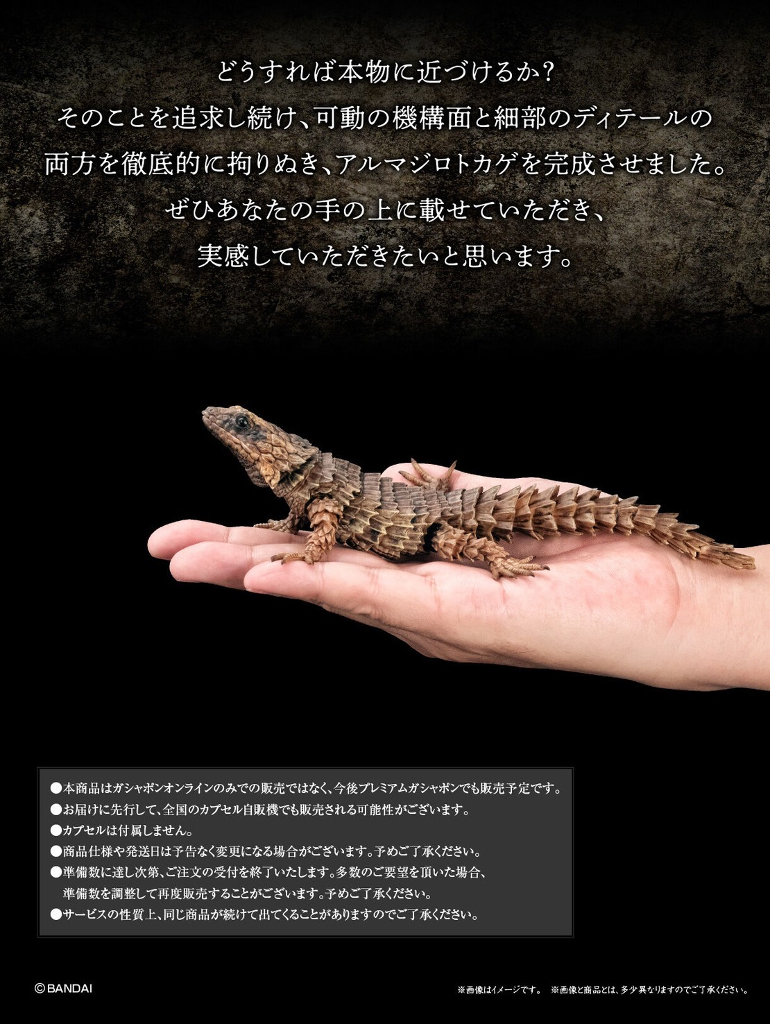 PRE-ORDER : Ikimono Encyclopedia Advance Armadillo Lizards (Random)