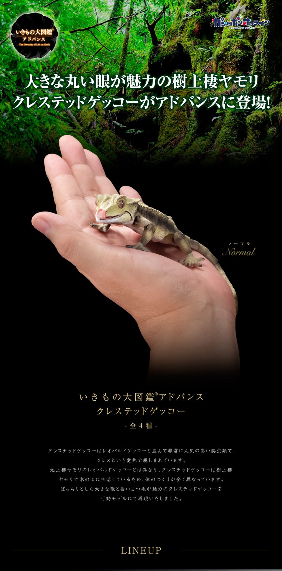 PRE-ORDER : Ikimono Encyclopedia Advance Crested Gecko (Random)
