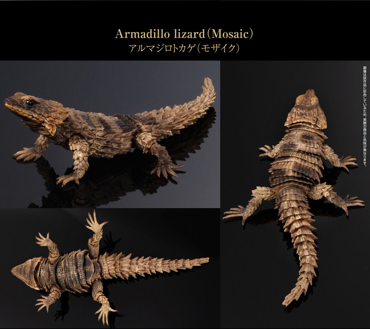 PRE-ORDER : Ikimono Encyclopedia Advance Armadillo Lizards (Random)