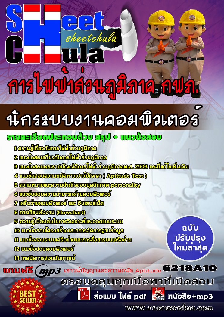 6218A10 นักระบบงานคอมพิวเตอร์ การไฟฟ้าส่วนภูมิภาค กฟภ.