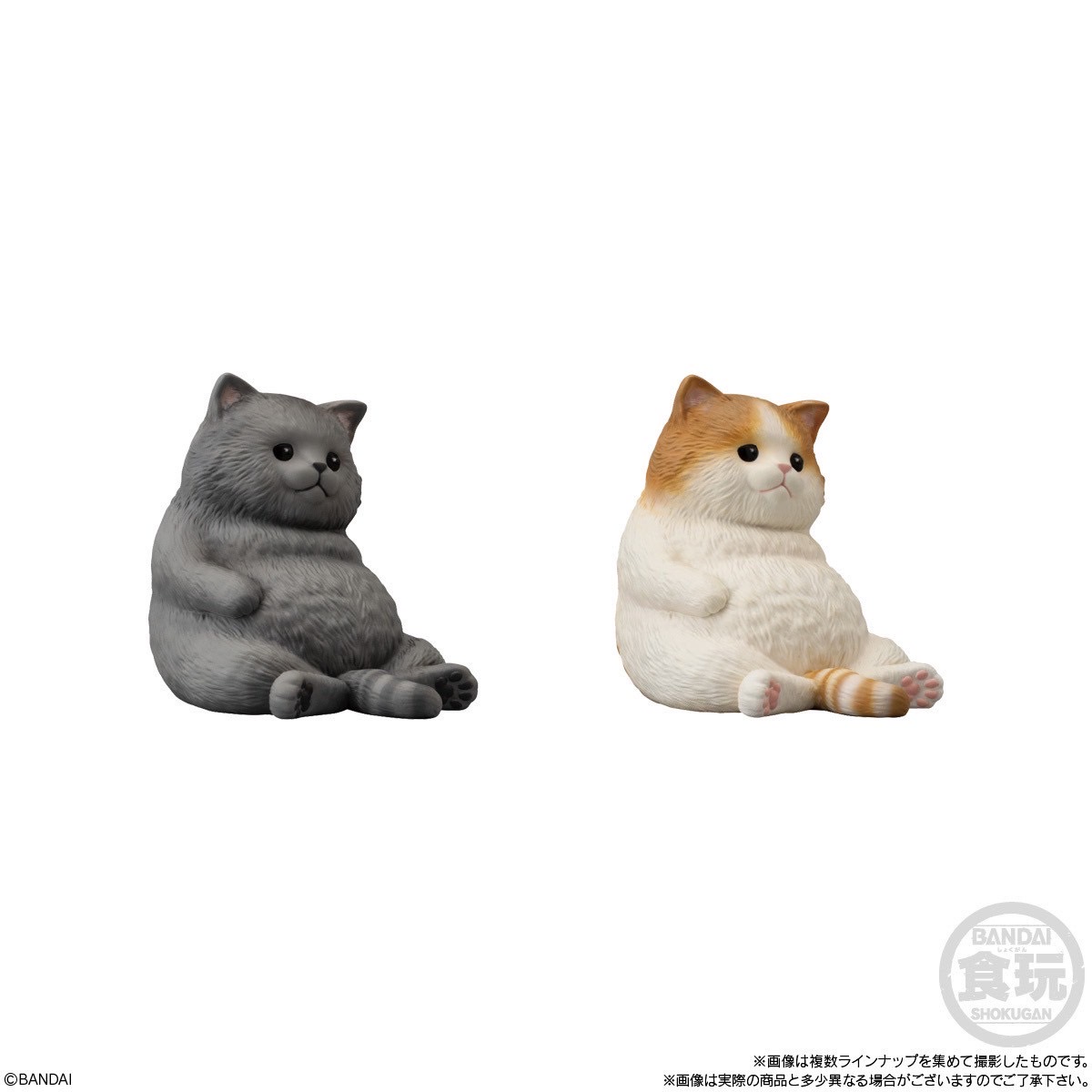 โมเดลแมวพุงนิ่มลิขสิทธิ์แท้ Mocchiri Kororin Cat by Bandai