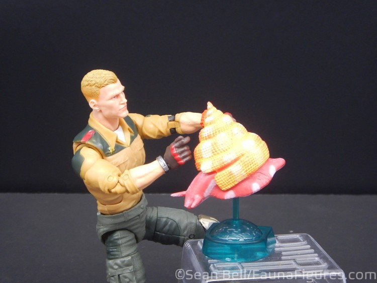 กาชาปอง Earth Life Journey Living Fossil Collection Gashapon (Set of 6) by EPOCH