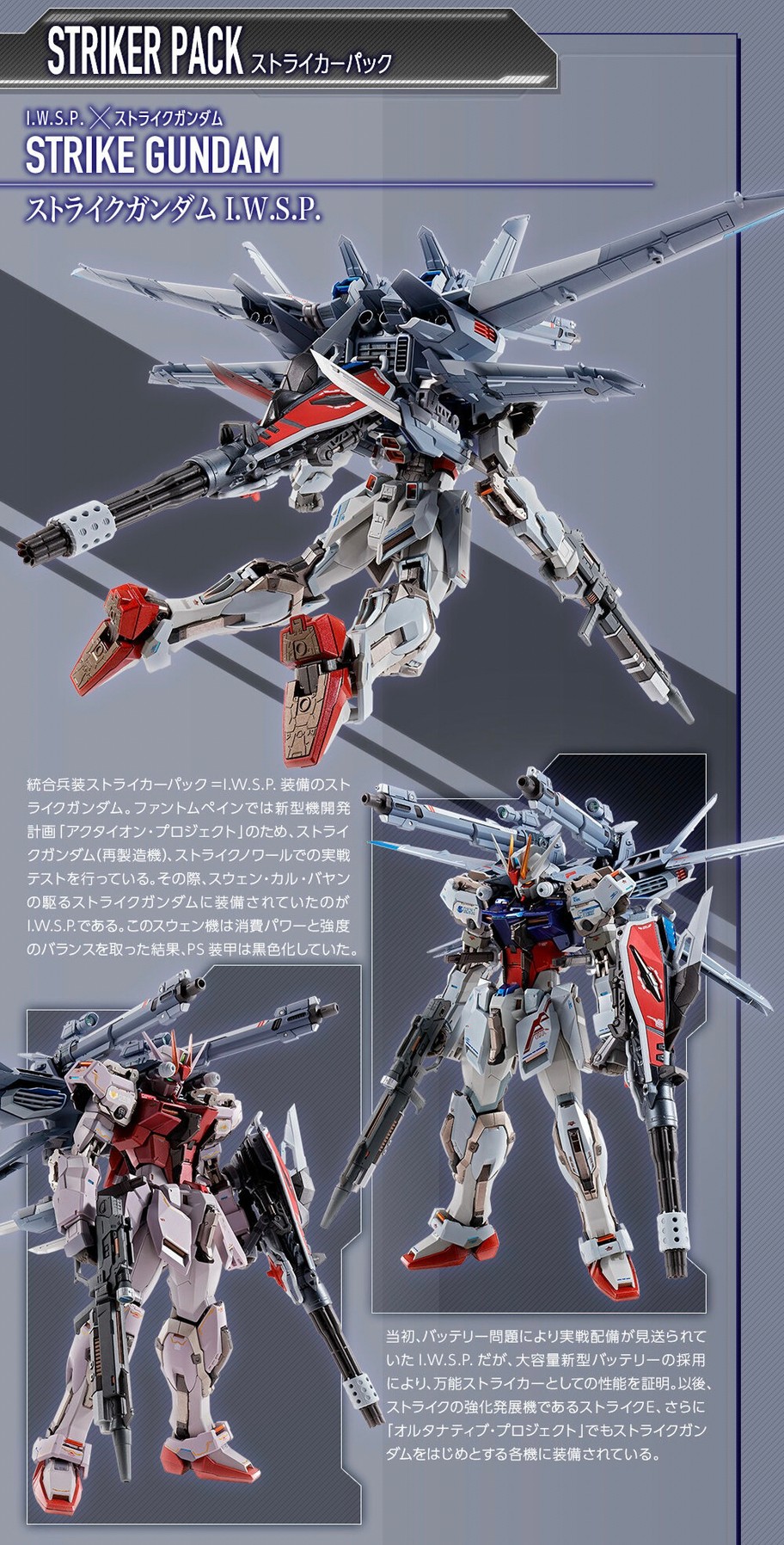 PRE-ORDER : METAL BUILD I.W.S.P.