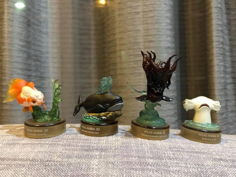 งานฝา สัตว์น้ำ New Enoshima Aquarium World Museum ATLAS ANIMA 3D Bottle Cap Collection (Set of 8) by Kaiyodo