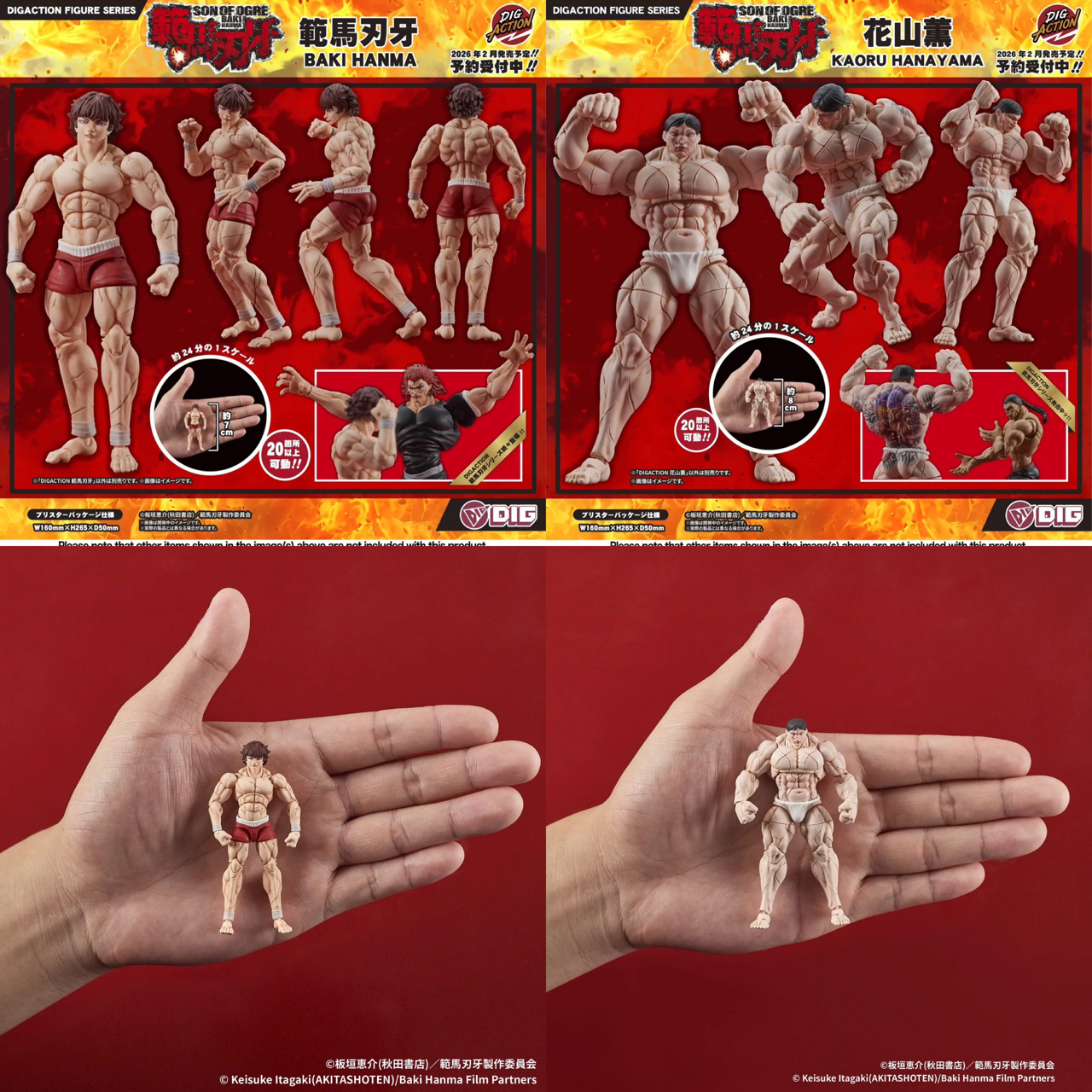 Pre-order : 1/24 DIGACTION Son of Ogre Baki Hanma: Baki Hanma / Kaoru Hanayama by DIG