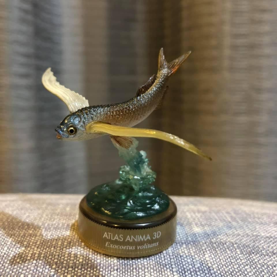 งานฝา สัตว์น้ำ New Enoshima Aquarium World Museum ATLAS ANIMA 3D Bottle Cap Collection (Set of 8) by Kaiyodo