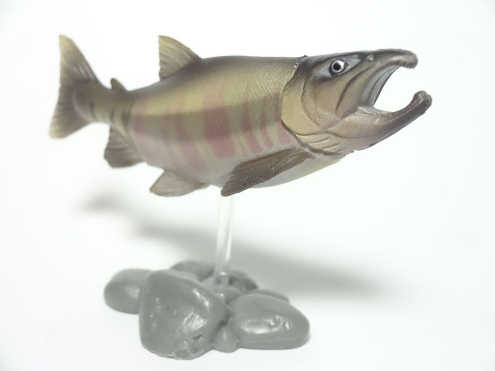 กาชาปอง Freshwater Fish Collection vol. 1 Gashapon (Set of 13) by Yujin
