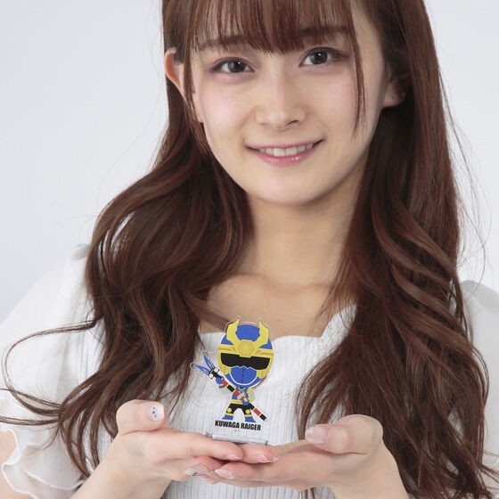 PRE-ORDER : Ninpuu Sentai Hurricaneger Deformed Acrylic Stand