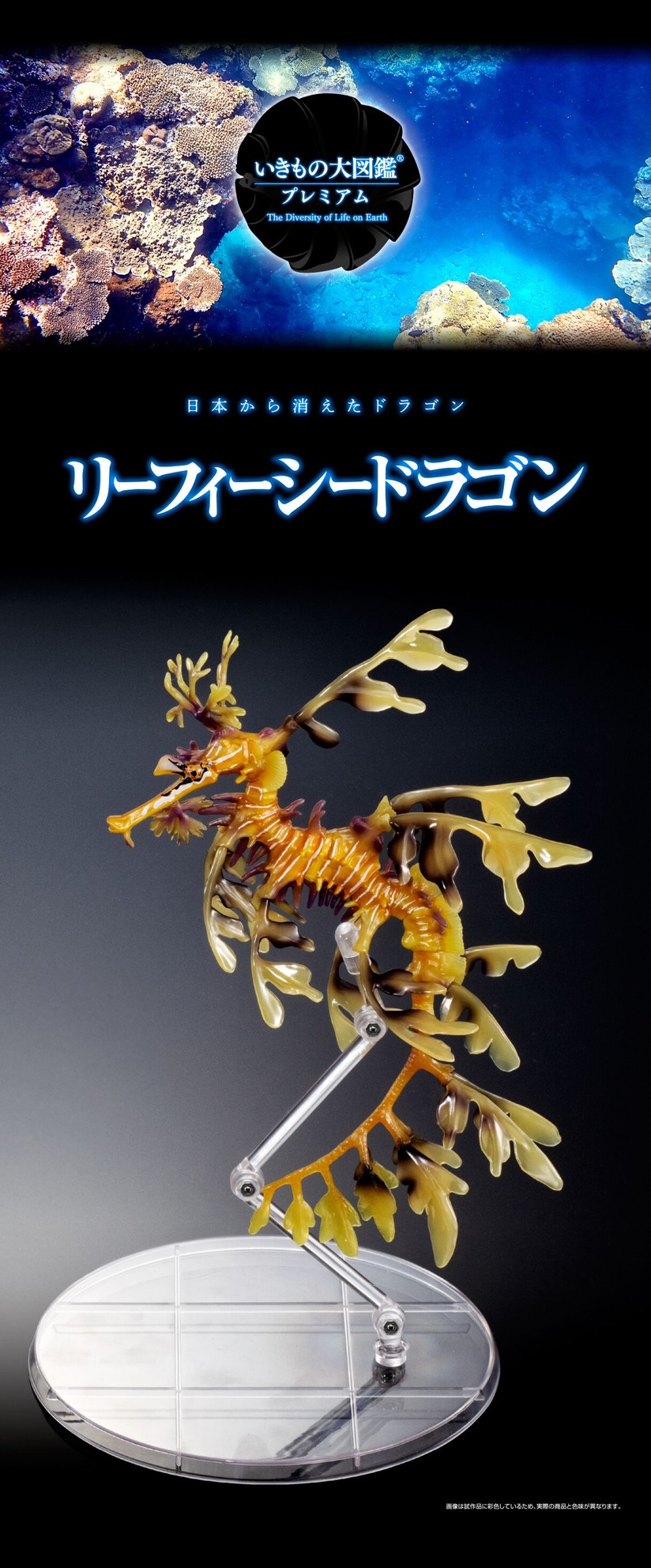 PRE-ORDER : Ikimono Encyclopedia Premium Leafy seadragon