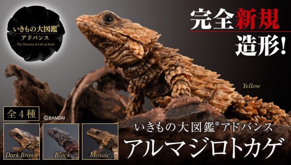 PRE-ORDER : Ikimono Encyclopedia Advance Armadillo Lizards (Random)