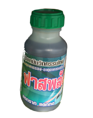 ฟาสพลัส 1000 ซีซี